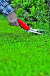 Ruční zahradnické nůžky na trávu